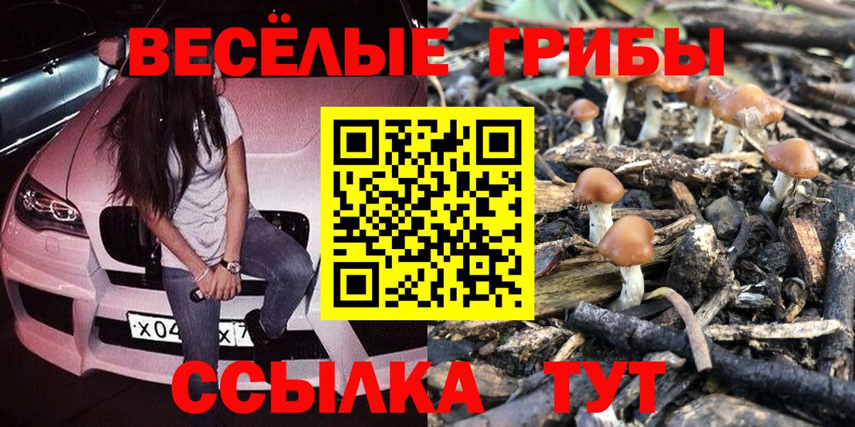 Семёнов  Галлюциногенные грибы Psilocybe  цена наркотик  Вход с VPN  Галлюциногенные грибы Cubensis 