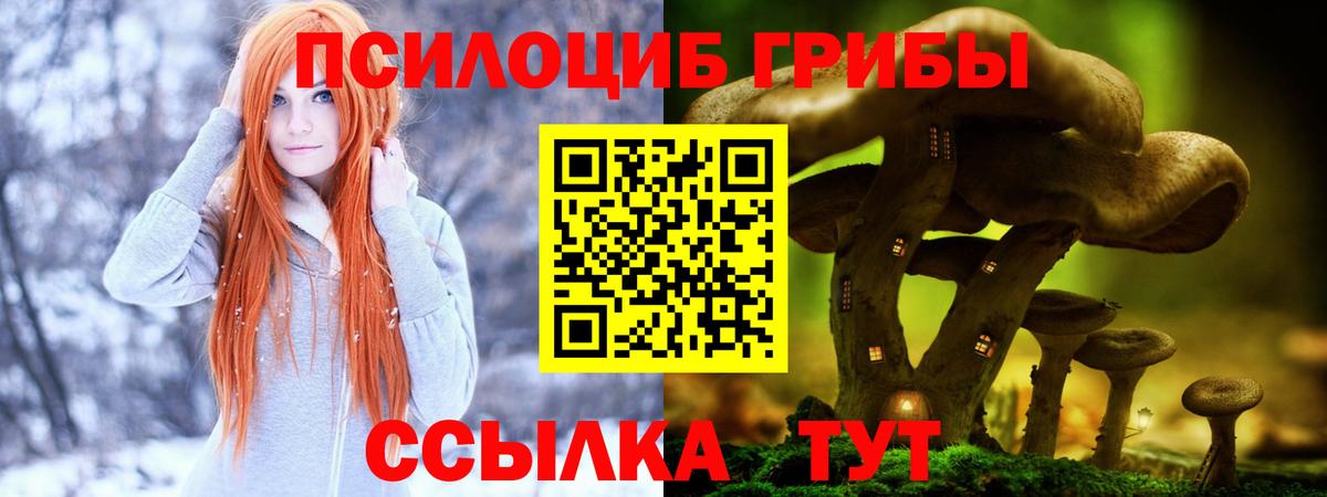 Псилоцибиновые грибы ЛСД Семёнов